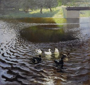 Ducks
